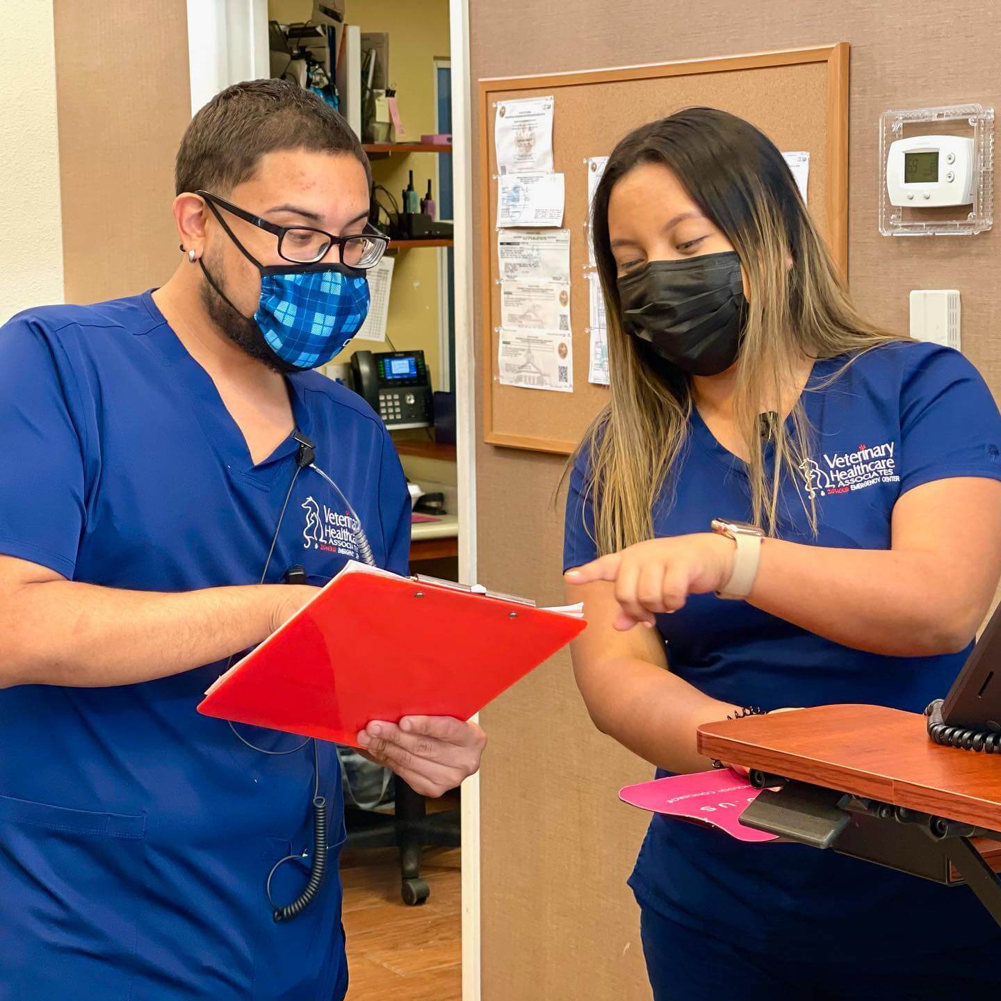 Diversity & Inclusion in Winter Haven, FL Veterinary Healthcare