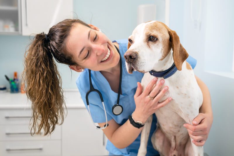 Vet Tech With Dog