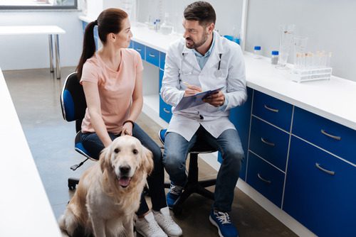 male-vet-talking-with-female-pet-owner-while-dog-sits-in-front-of-them-at-clinic