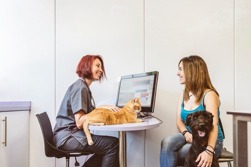 female-vet-scheduling-appointment-with-orange-cat-sitting-nearby-while-talking-with-female-owner-who-is-petting-a-black-dog