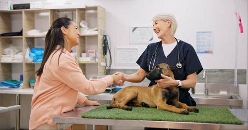 female-vet-shaking-hands-with-female-pet-owner-across-exam-table-while-dog-lays-on-it