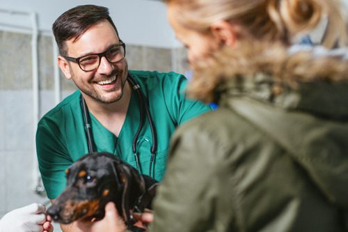 male-vet-talking-with-female-pet-owner-at-clinic