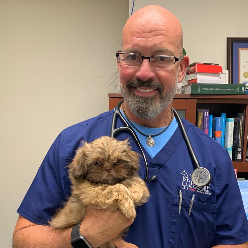 Dr Nations Holding Brown Fluffy Dog